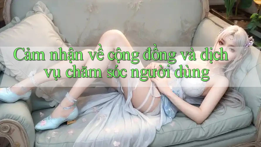 Cảm nhận về cộng đồng và dịch vụ chăm sóc người dùng