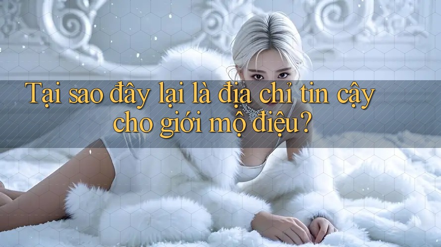 Tại sao đây lại là địa chỉ tin cậy cho giới mộ điệu? Tại sao đây lại là địa chỉ tin cậy cho giới mộ điệu?