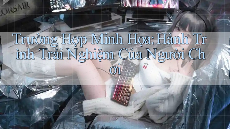 Trường Hợp Minh Họa: Hành Trình Trải Nghiệm Của Người Chơi Trường Hợp Minh Họa: Hành Trình Trải Nghiệm Của Người Chơi